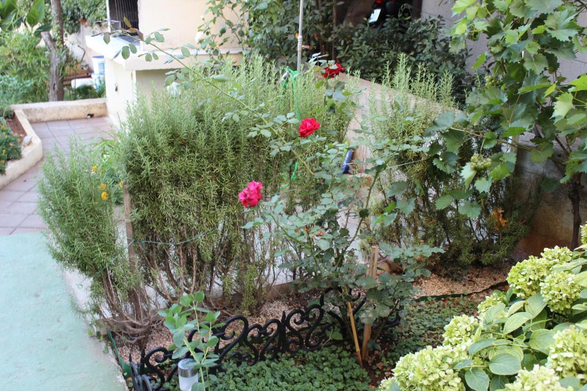 Apartments Miriam Srima Водице Екстер'єр фото
